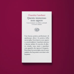 Questo immenso non sapere - Chandra Livia Candiani - Libreria Tlon